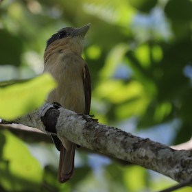 Deuxième séjour à Sarteneja, Bélize, Novembre - Décembre 2021