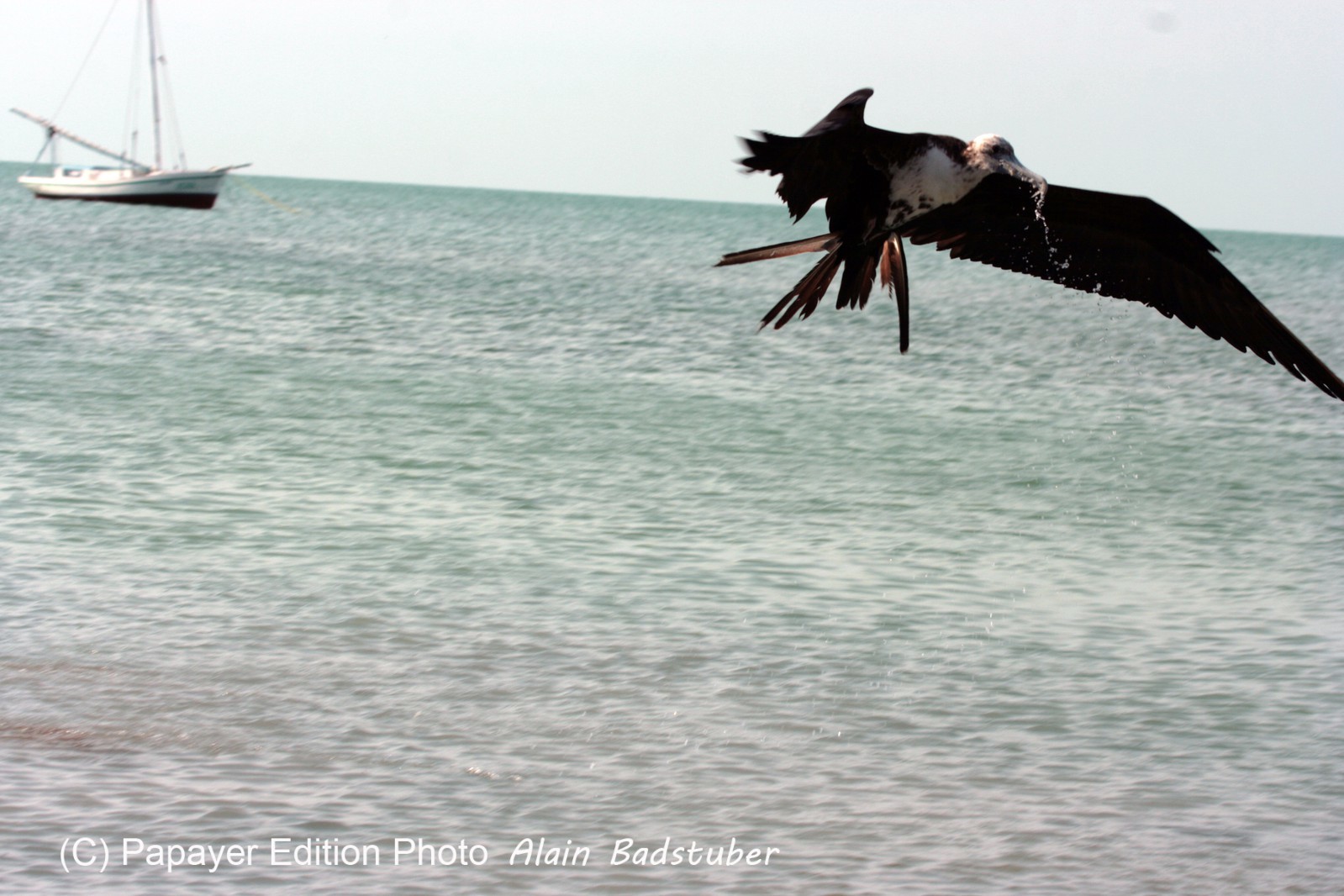 Images_Belize_2011_420