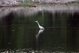 Images_Belize_2011_294