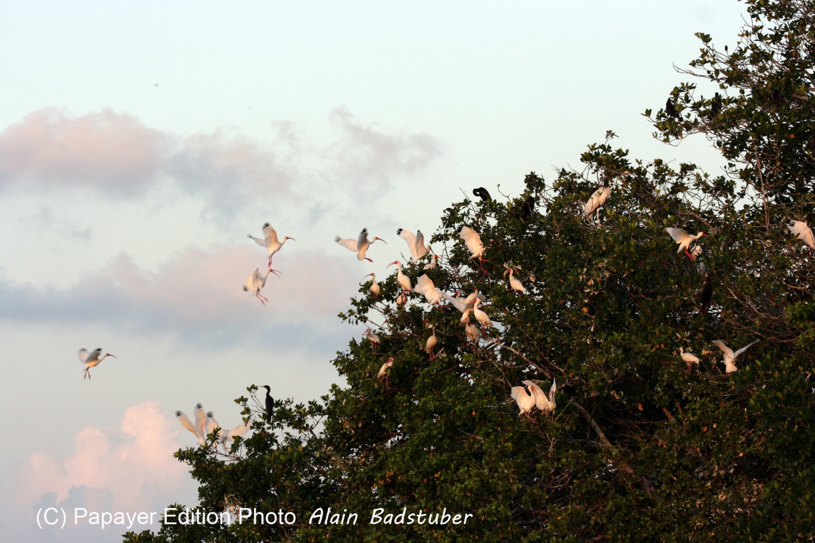 Images_Belize_2011_225