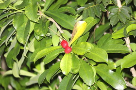 Hickatee Cottages, 4 jours de photo