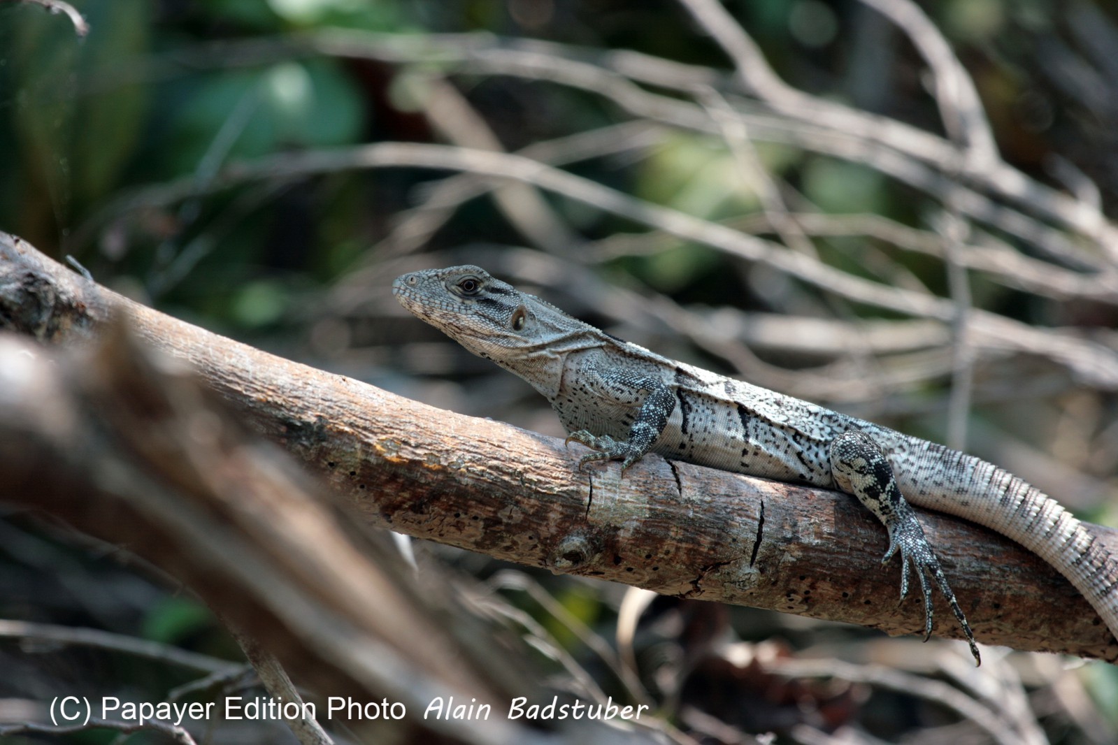 Images_Belize_2011_398