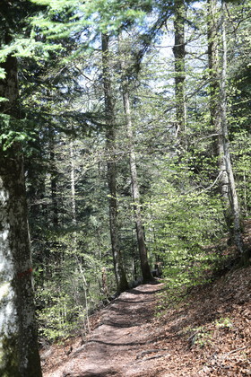 Ma balade du premier mai 2019