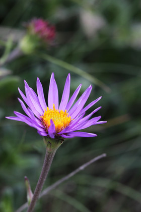 Encore une journée non favorable à la pratique de WingFoil