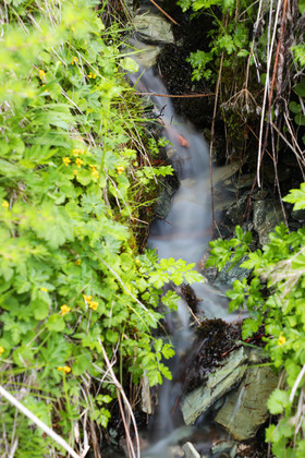 Pas de vent, mais d'autres photos !