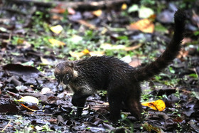 Parque Natural Metropolitano