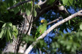 Images_Belize_2011_023