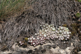 Ballade aux Follatères en mai 2018