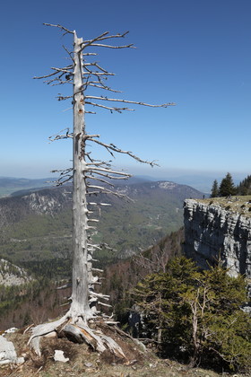 Ma balade du premier mai 2019