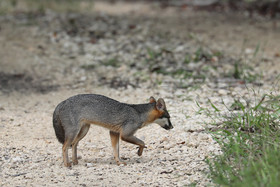 Deuxième séjour à Sarteneja, Bélize, Novembre - Décembre 2021