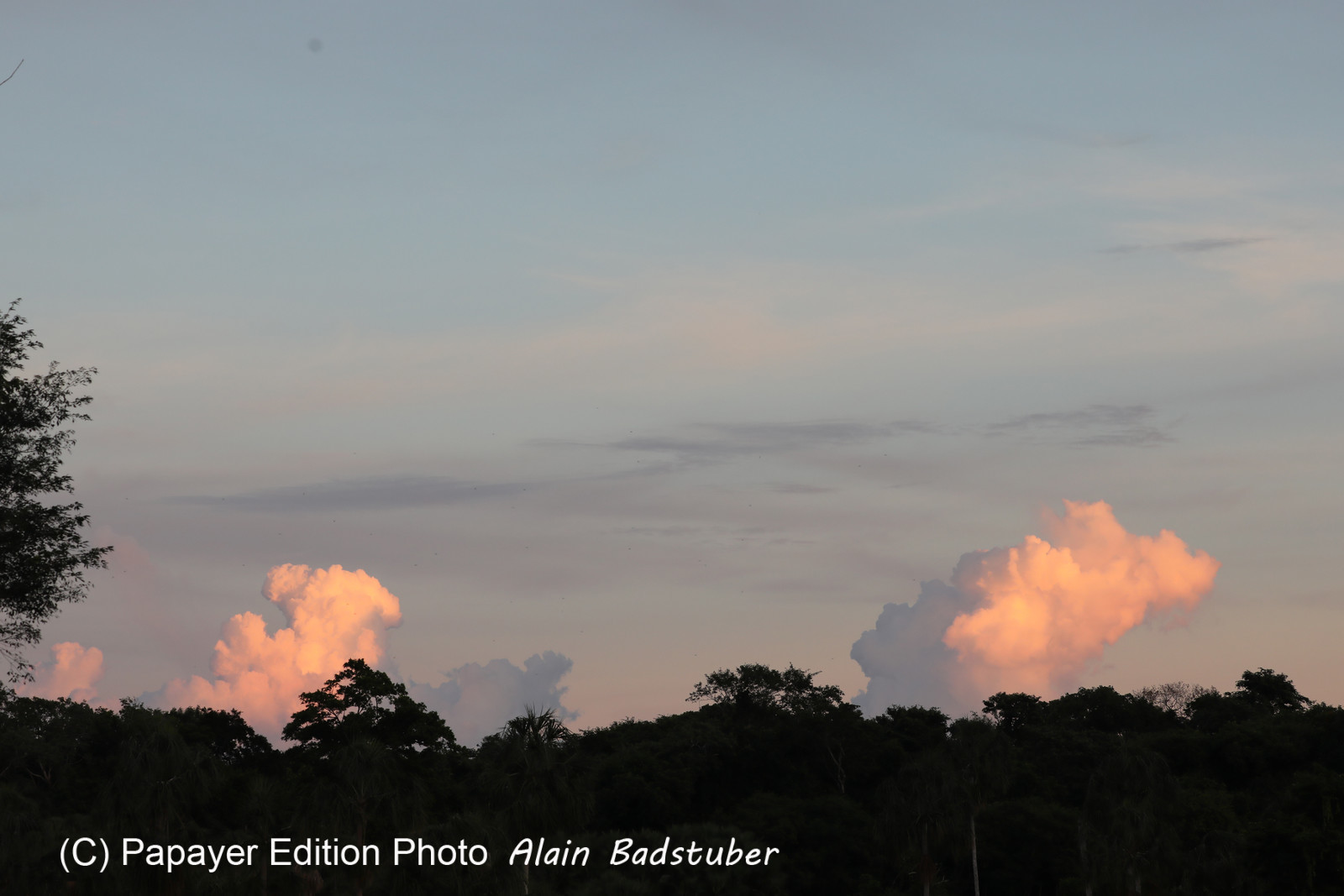 Deuxième séjour à Sarteneja, Bélize, Novembre - Décembre 2021