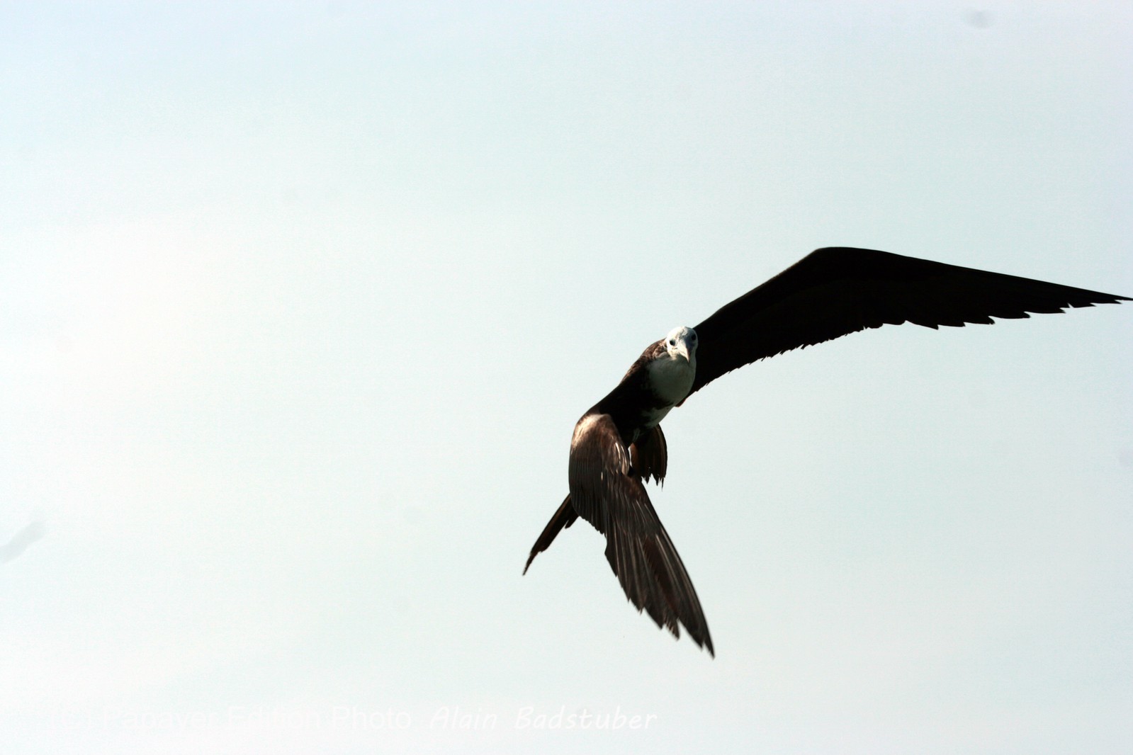 Images_Belize_2011_414