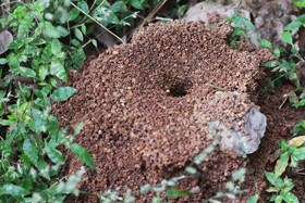 Punta Culebra Nature Center