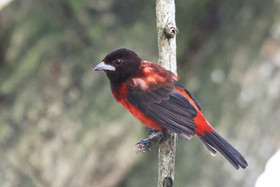 Punta Culebra Nature Center