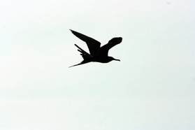 Images_Belize_2011_404