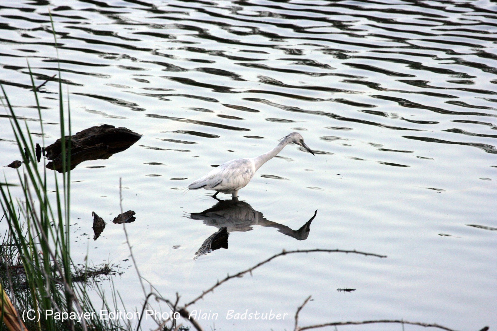 Images_Belize_2011_295