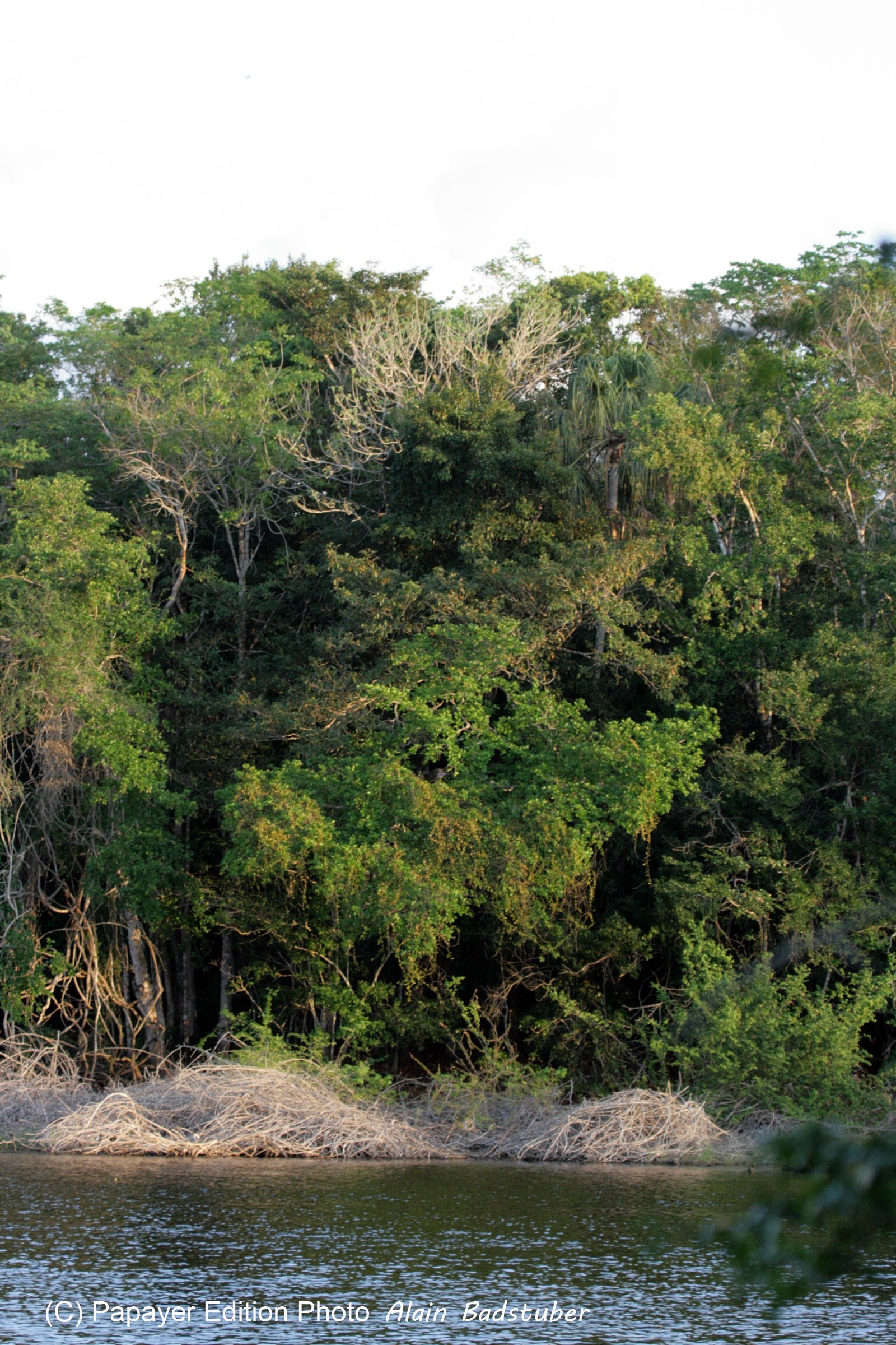 Images_Belize_2011_282