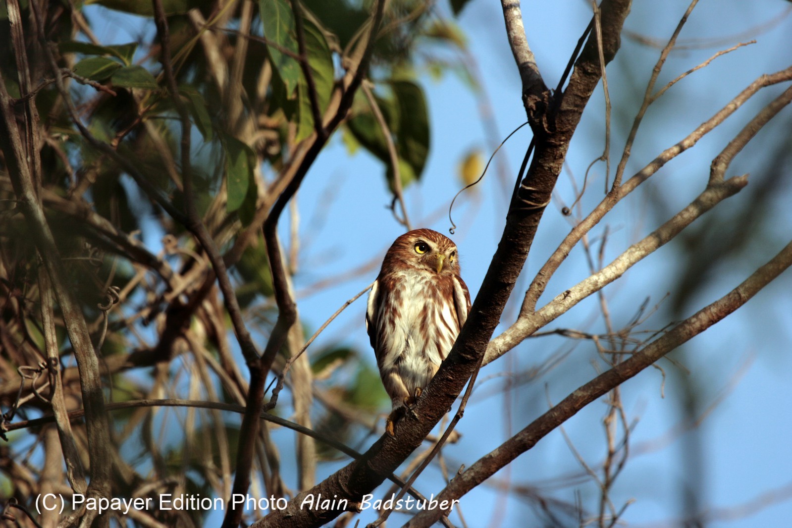 Images_Belize_2011_336
