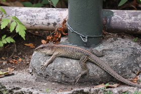 Punta Culebra Nature Center