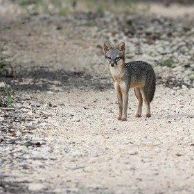 Deuxième séjour à Sarteneja, Bélize, Novembre - Décembre 2021