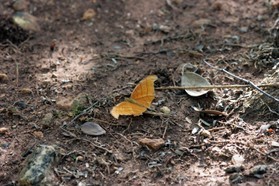 Images_Belize_2011_030