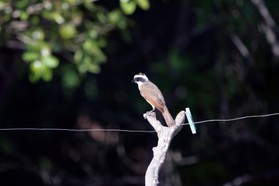 Images_Belize_2011_037