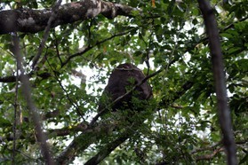 Images_Belize_2011_272