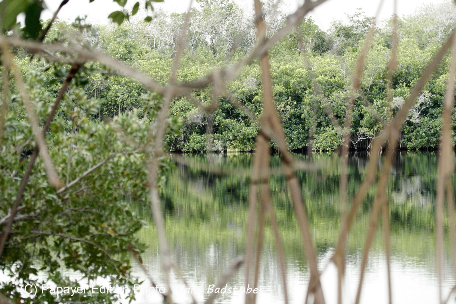 Cenotes_11-04-12_01.jpg