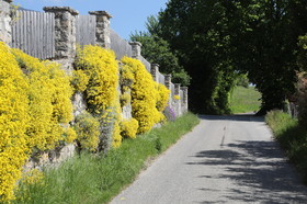 Ma balade du premier mai 2019