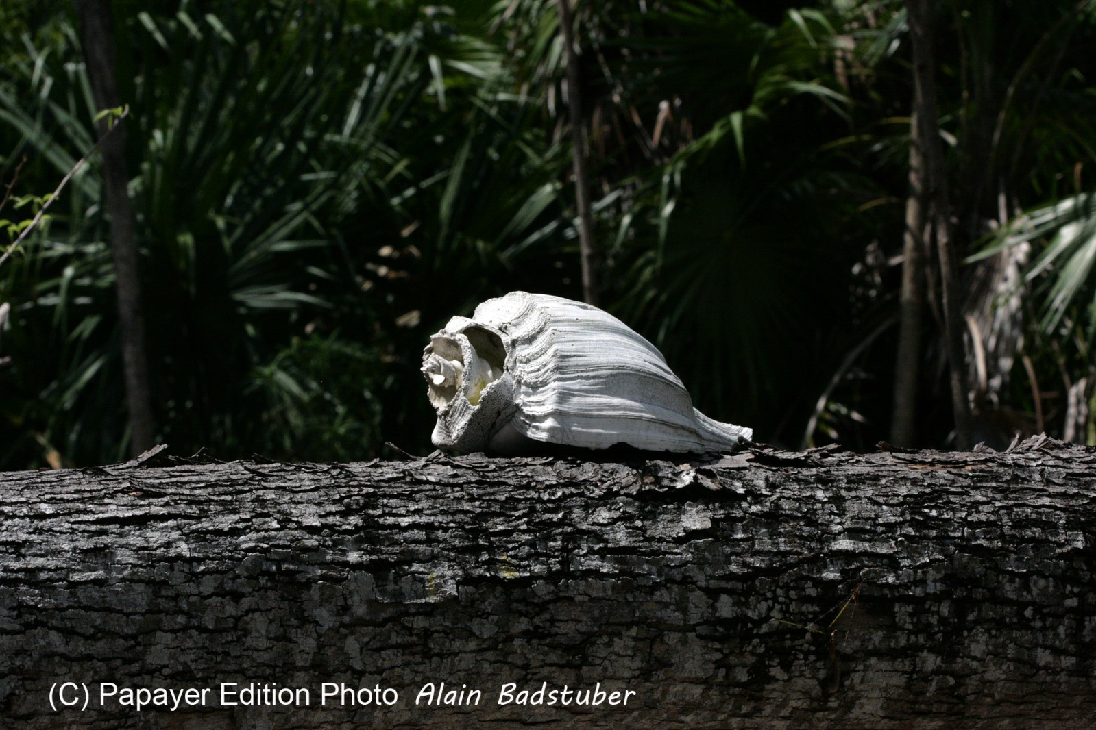 Images_Belize_2011_156