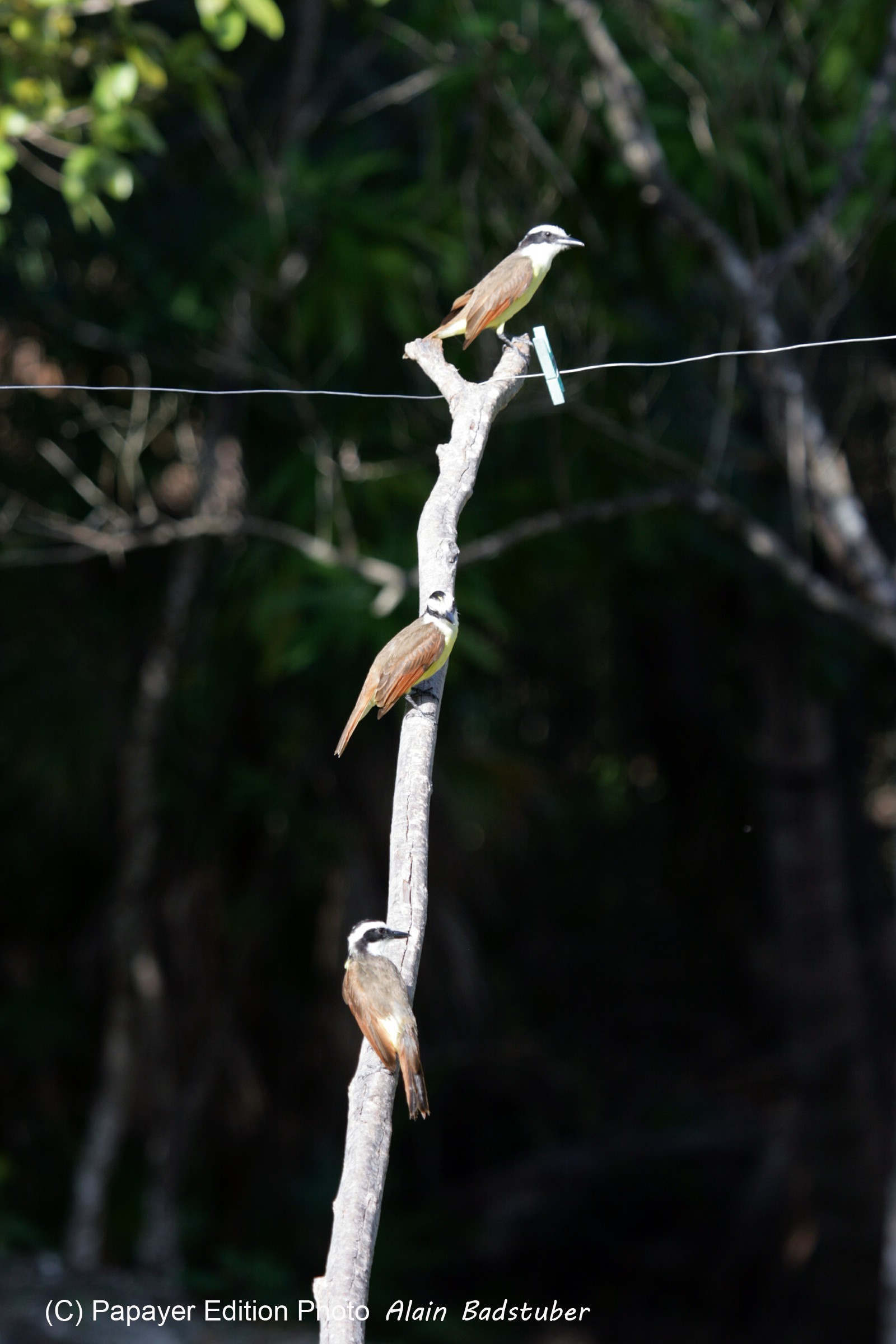 Images_Belize_2011_039