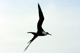 Images_Belize_2011_411