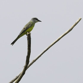 Deuxième séjour à Sarteneja, Bélize, Novembre - Décembre 2021