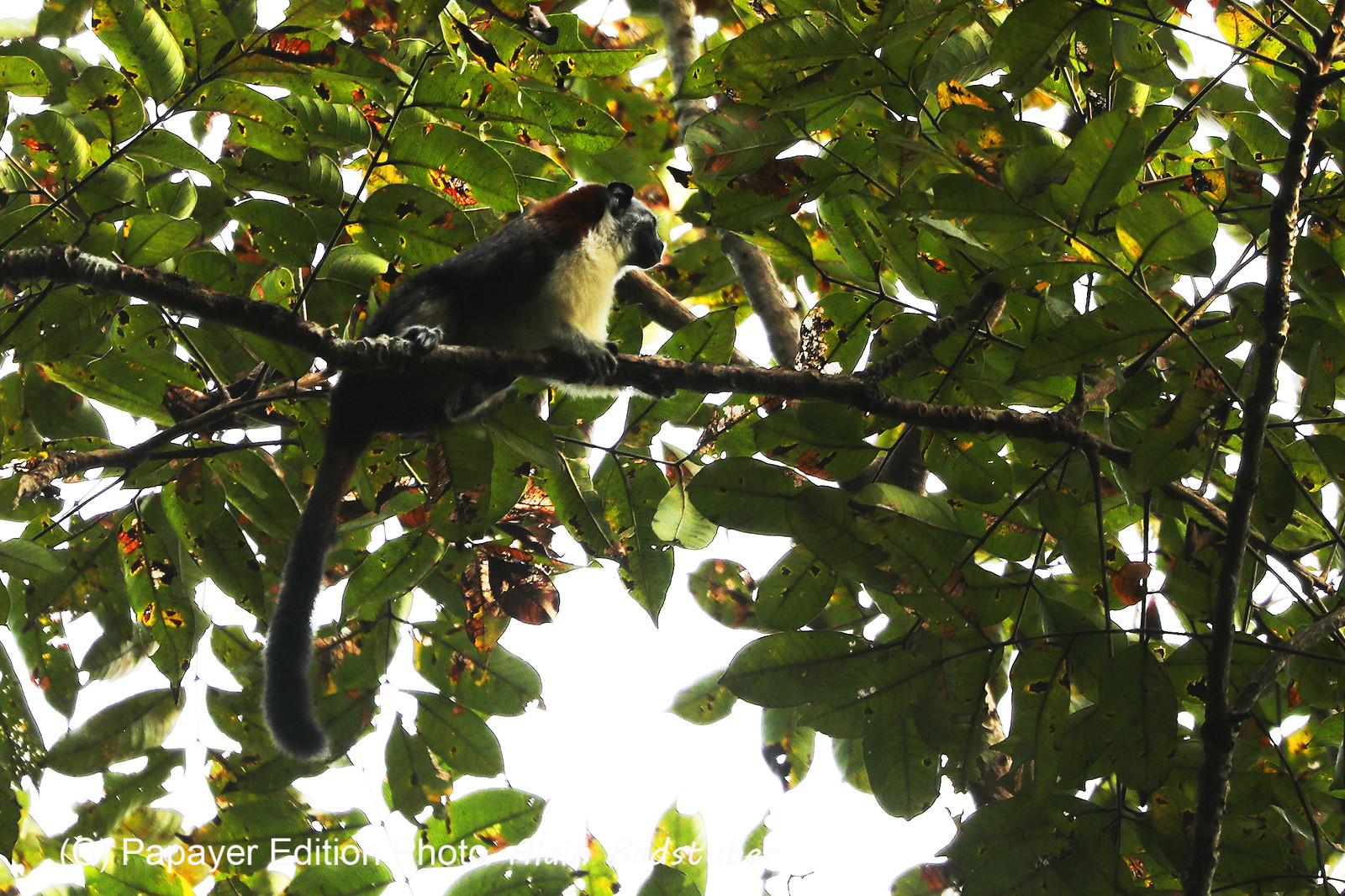 Parque Natural Metropolitano