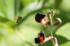 Hickatee Cottages, 4 jours de photo