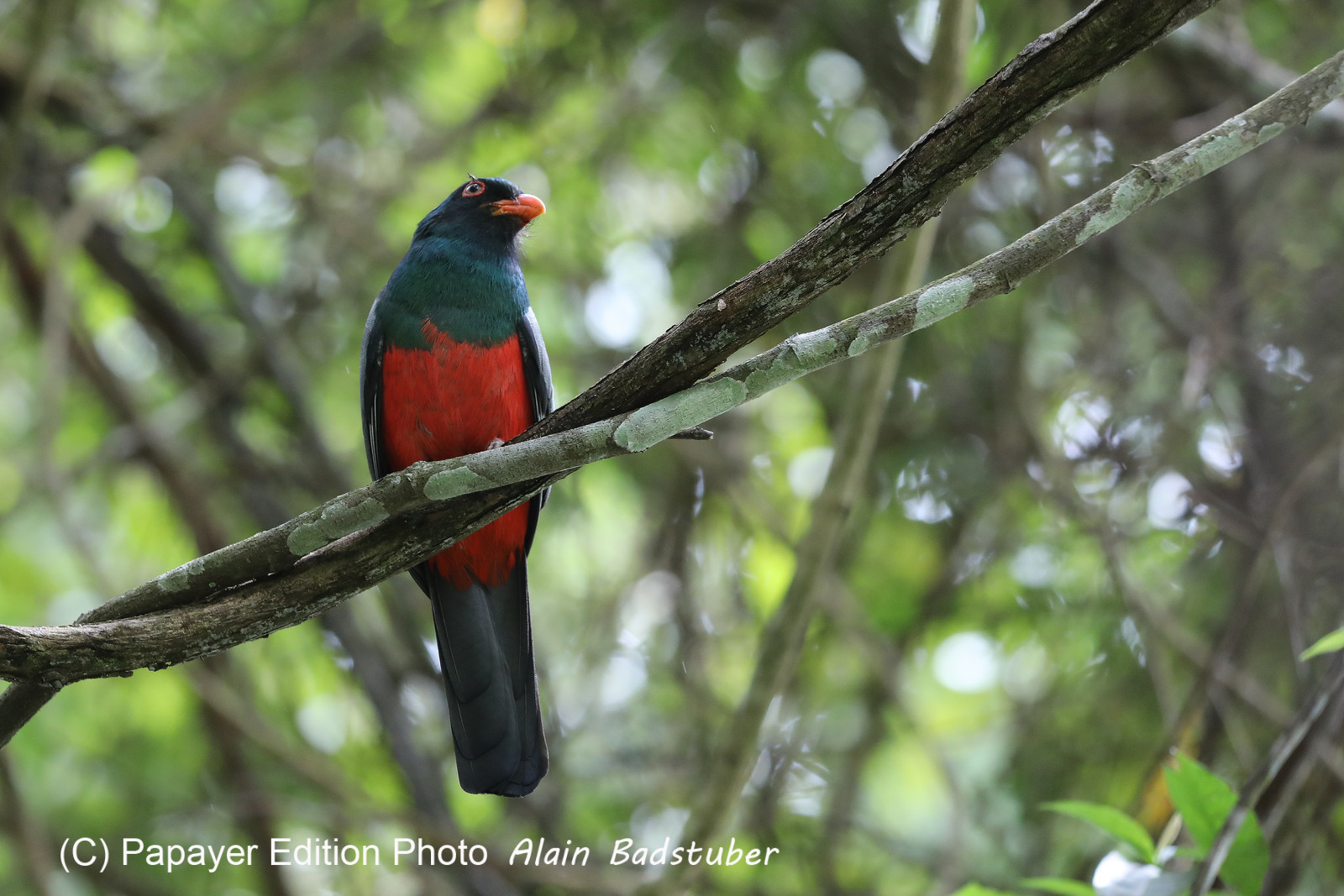 Parque Natural Metropolitano