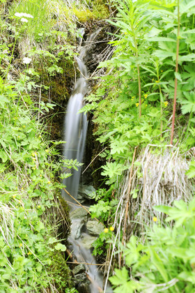 Pas de vent, mais d'autres photos !