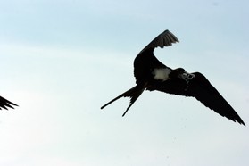 Images_Belize_2011_422