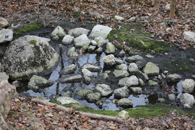 Faune et Flore de Suisse, 2022