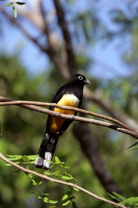 Images_Belize_2011_041