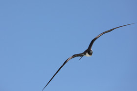 Deuxième séjour à Sarteneja, Bélize, Novembre - Décembre 2021