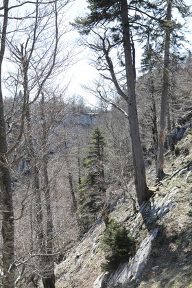 Ma balade du premier mai 2019