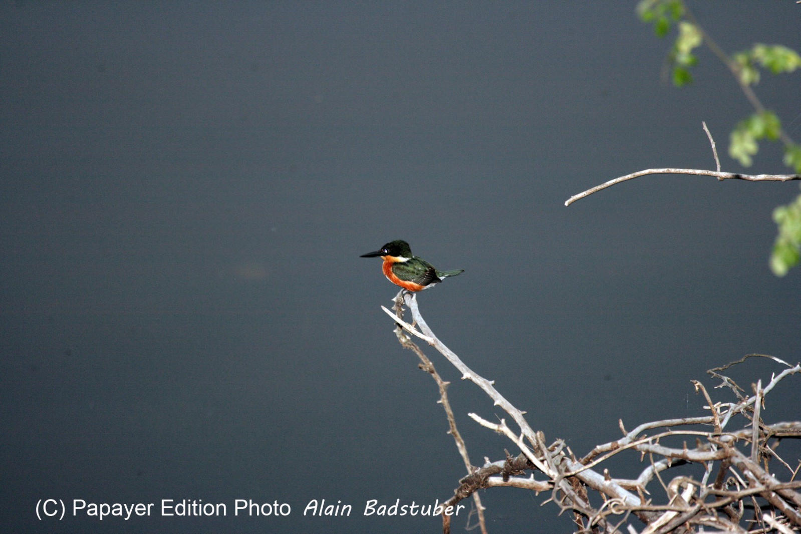 Images_Belize_2011_293