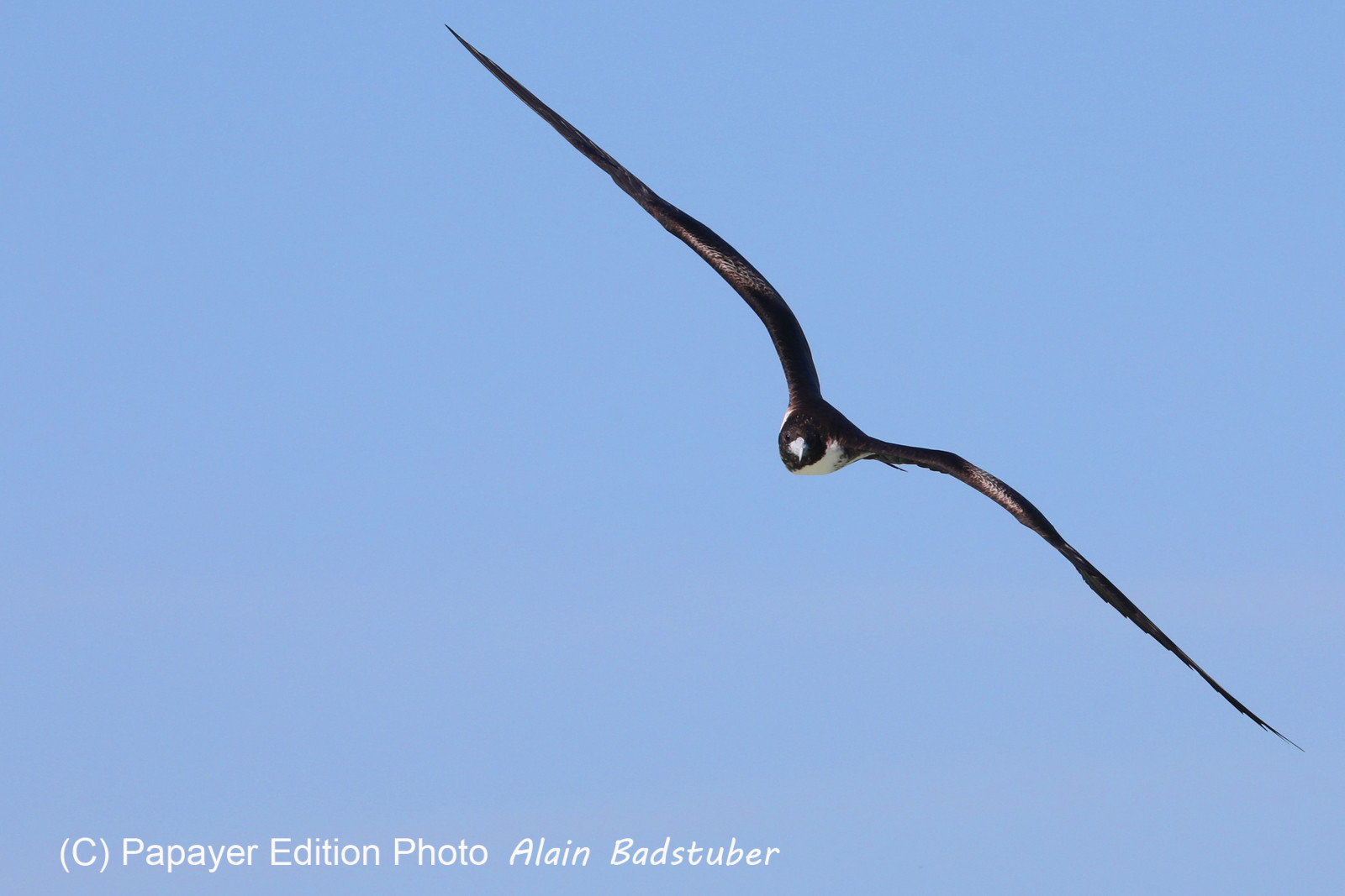 Deuxième séjour à Sarteneja, Bélize, Novembre - Décembre 2021