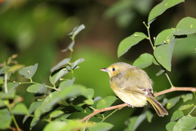 Deuxième séjour à Sarteneja, Bélize, Novembre - Décembre 2021