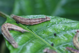 Punta Culebra Nature Center