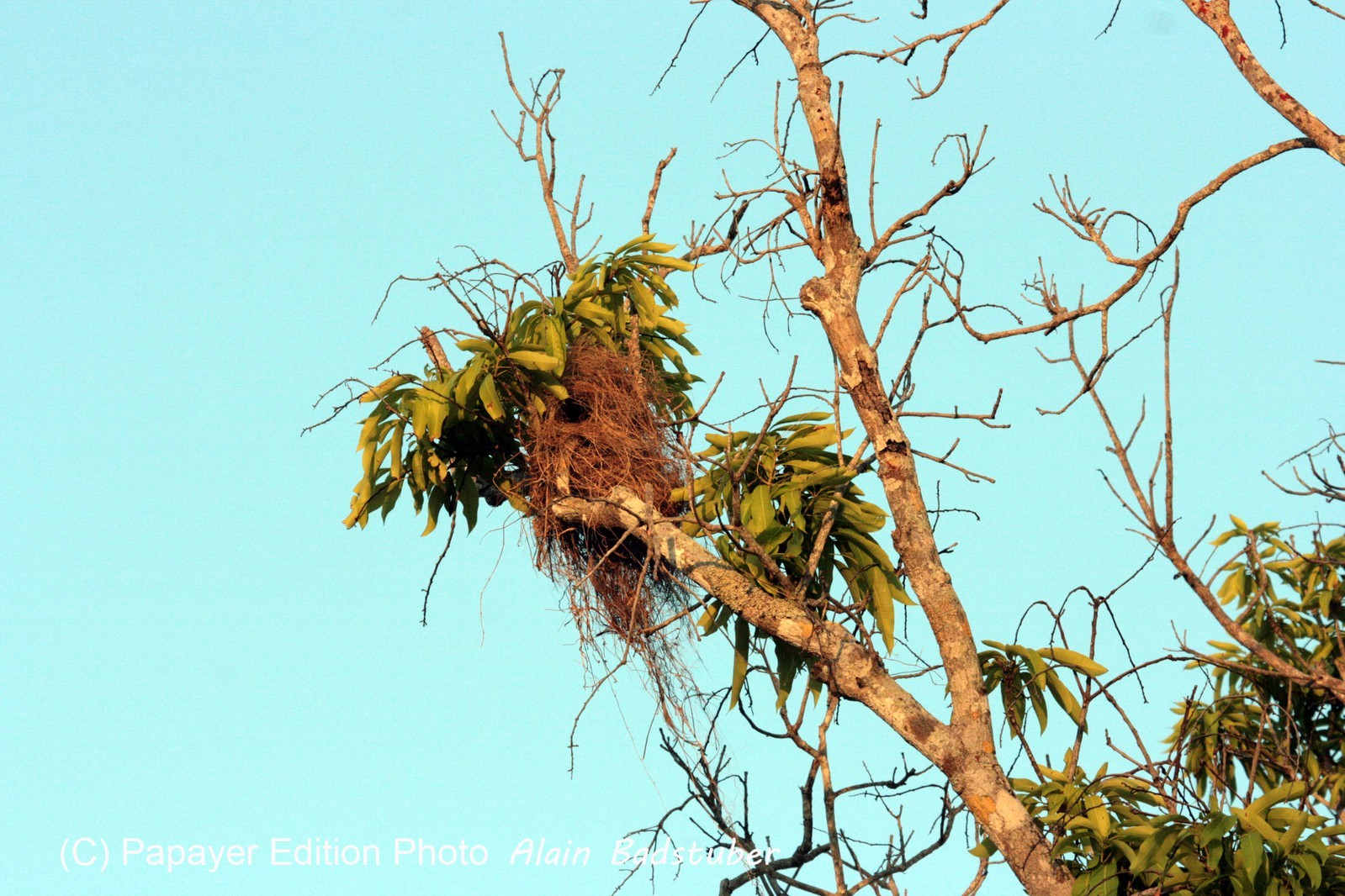 Images_Belize_2011_364