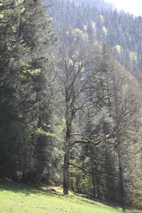 Ma balade du premier mai 2019