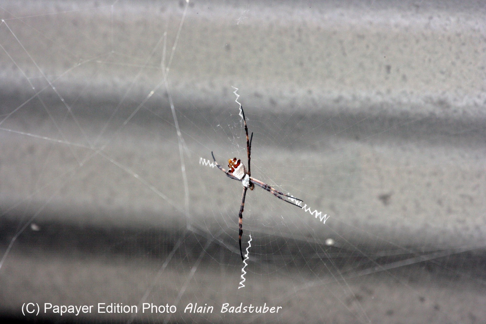 Images_Belize_2011_166