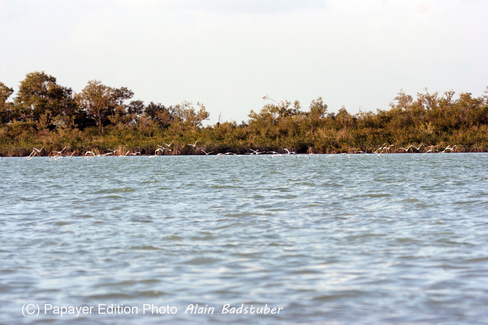 Images_Belize_2011_219